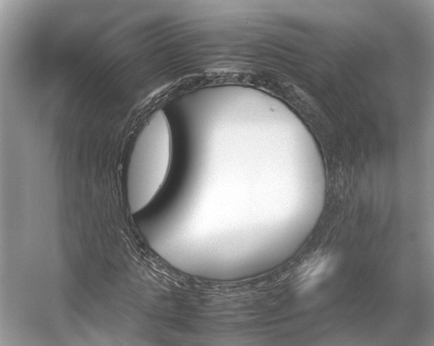 X0000054370821200508051552