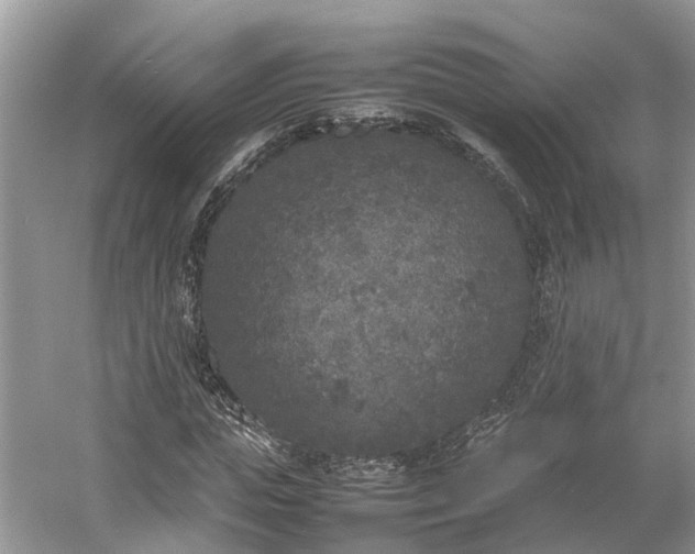 X0000054370823200508051553