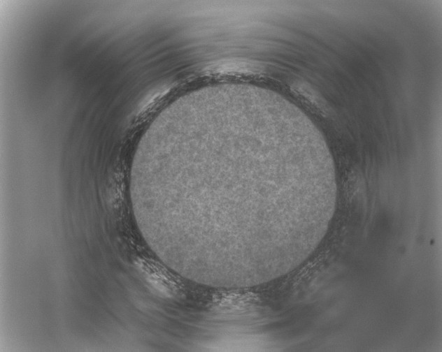 X0000054370824200508051553