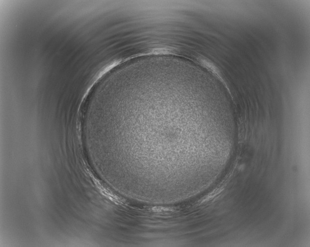 X0000054370827200508051553