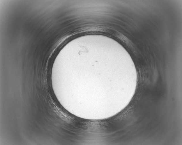 X0000054370828200508051553