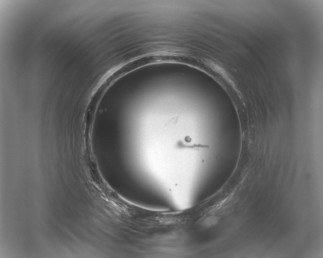 X0000054370829200508051553