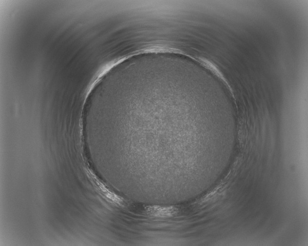 X0000054370831200508051553