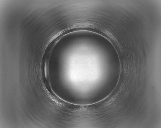 X0000054370834200508051553