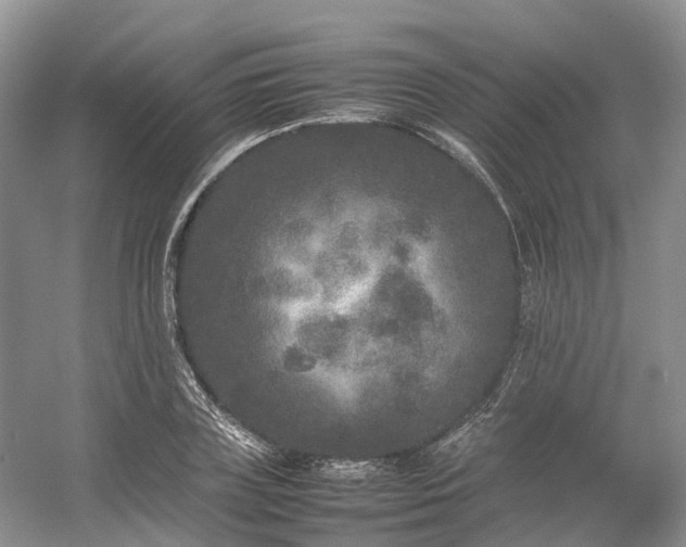 X0000054370835200508051553