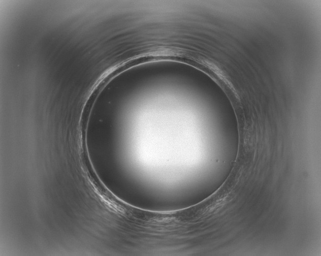 X0000054370837200508051553