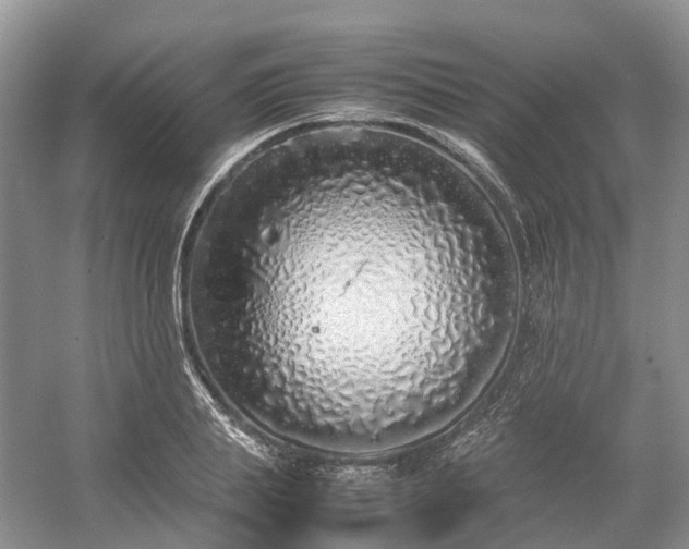 X0000054370839200508051553