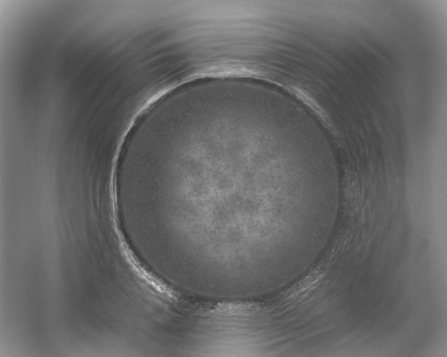 X0000054370840200508051553