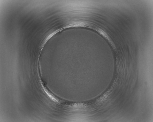 X0000054370842200508051553