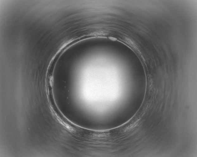 X0000054370843200508051553