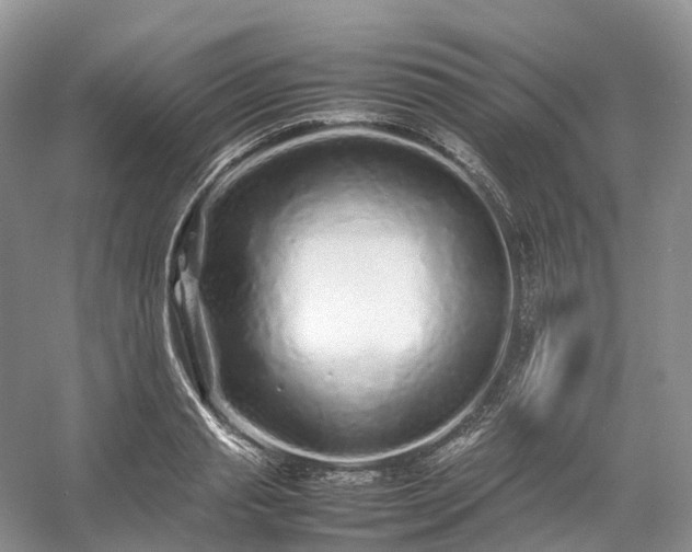 X0000054370845200508051553