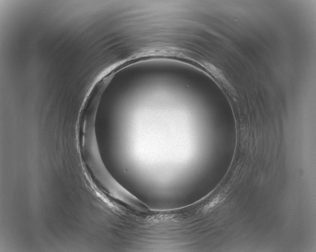 X0000054370846200508051553