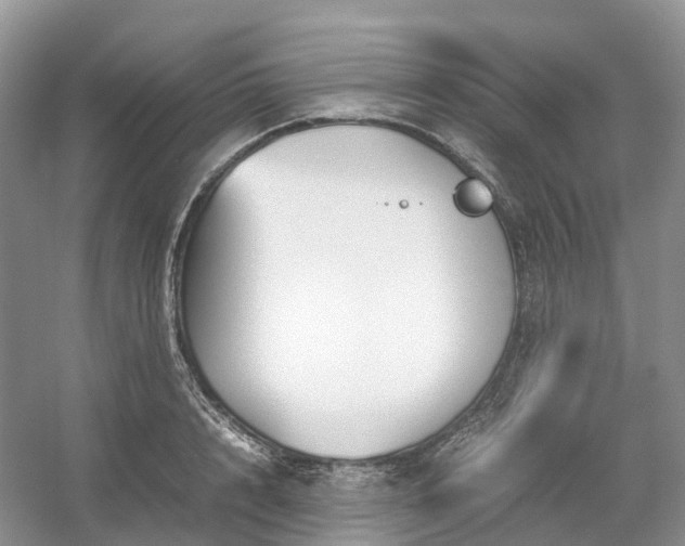 X0000054370848200508051553