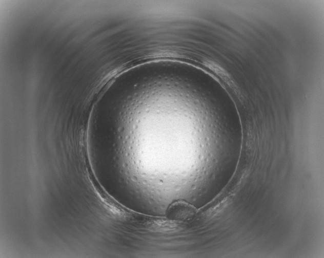 X0000054370849200508051553