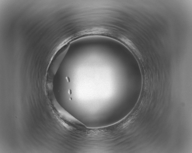 X0000054370850200508051553