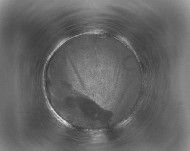 X0000054370851200508051553