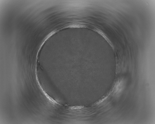 X0000054370853200508051553