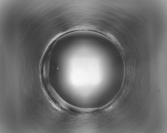 X0000054370854200508051553