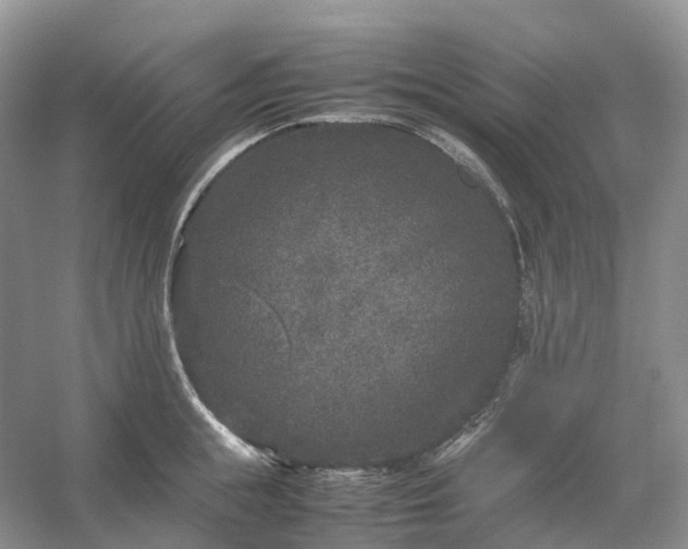 X0000054370855200508051553