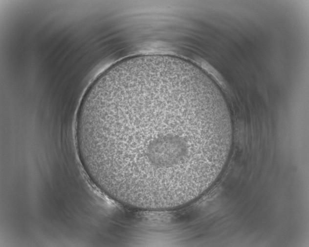 X0000054370856200508051553