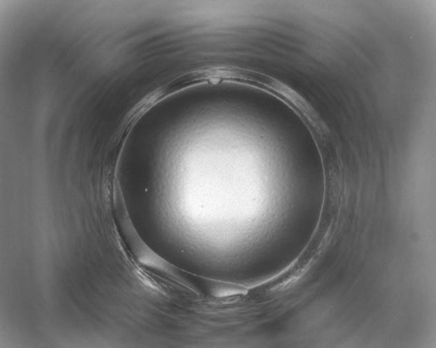 X0000054370857200508051553