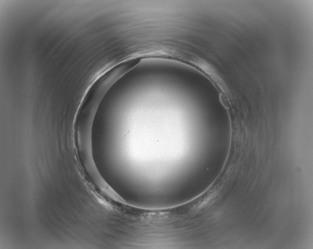 X0000054370858200508051553