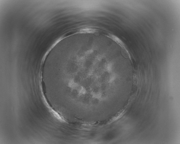 X0000054370859200508051553