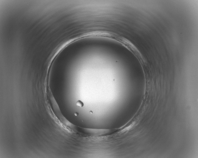 X0000054370860200508051553