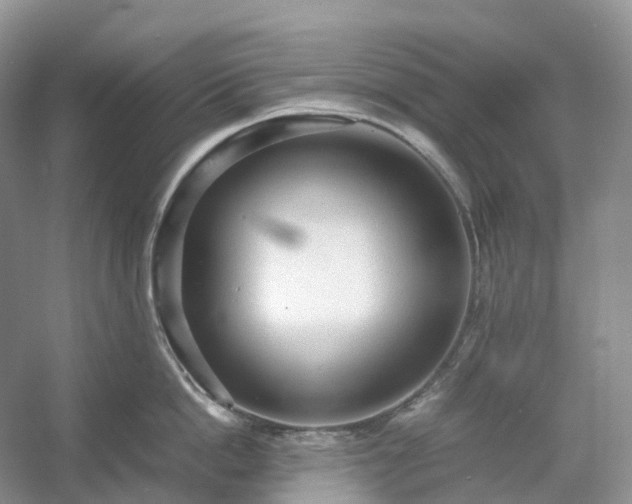 X0000054370862200508051553