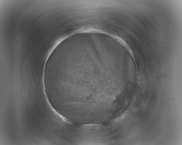 X0000054370863200508051553