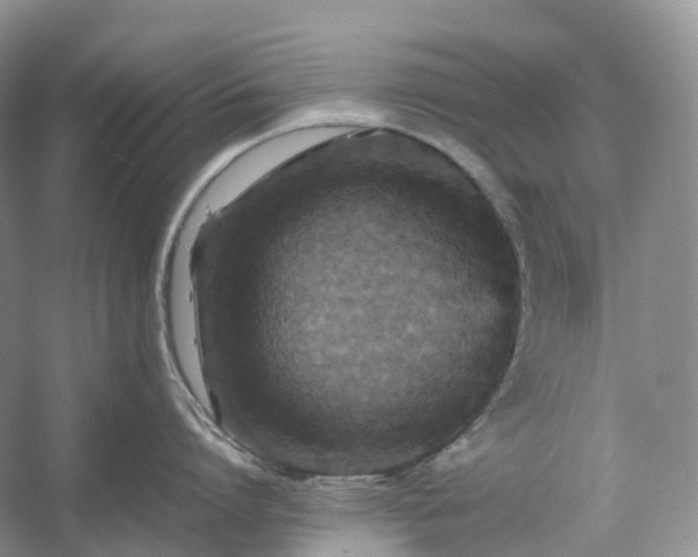 X0000054370864200508051553