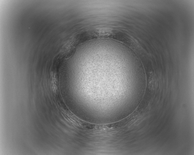 X0000054370866200508051552