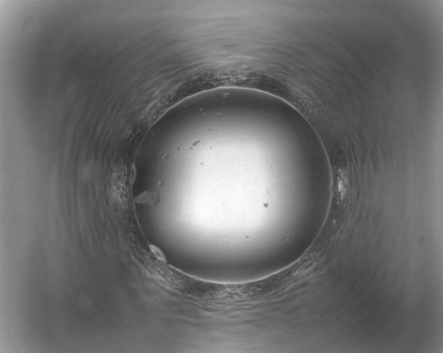 X0000054370867200508051552