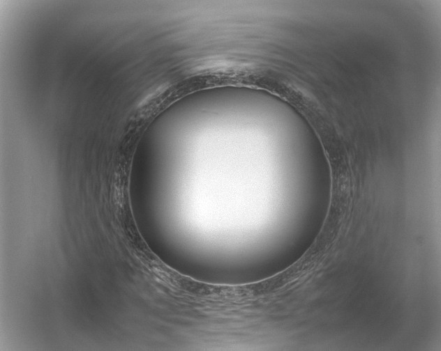 X0000054370869200508051552