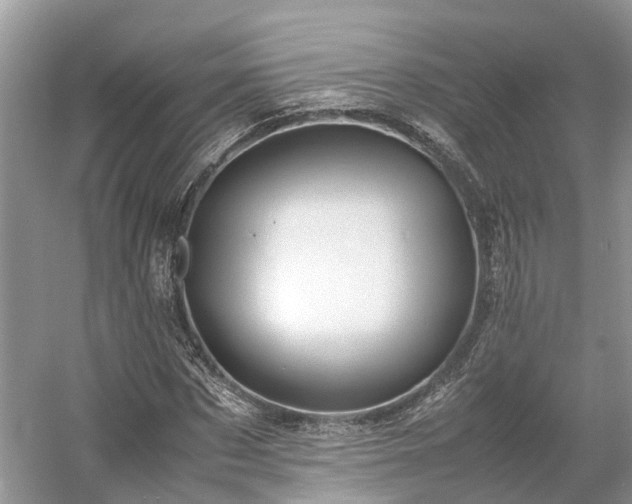 X0000054370873200508051552