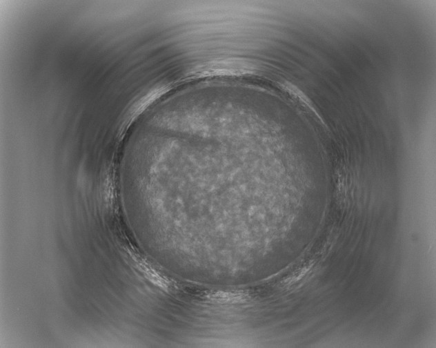 X0000054370874200508051552