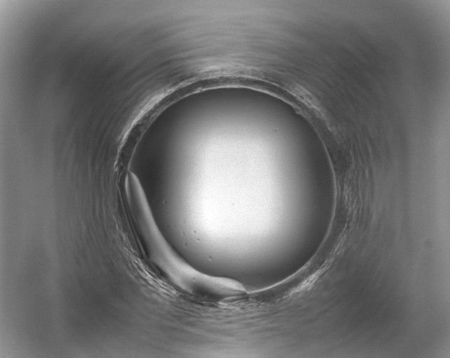 X0000054370877200508051552