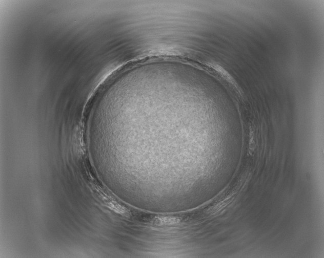 X0000054370878200508051552