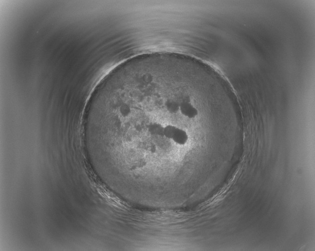 X0000054370879200508051552