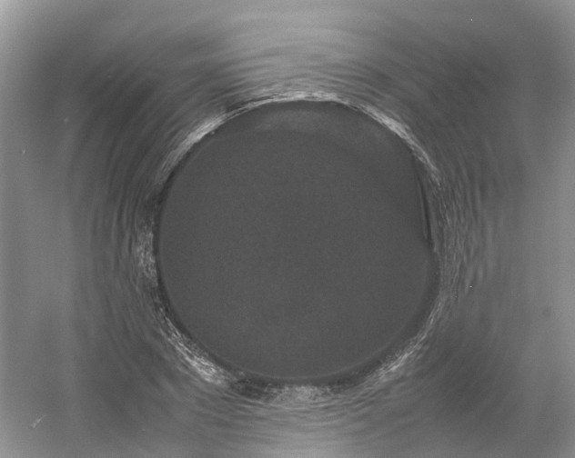 X0000054370881200508051552