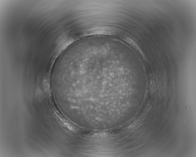 X0000054370882200508051552