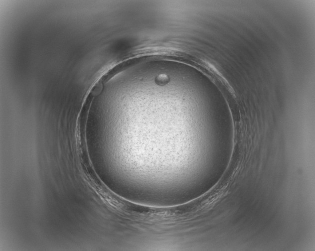 X0000054370883200508051552