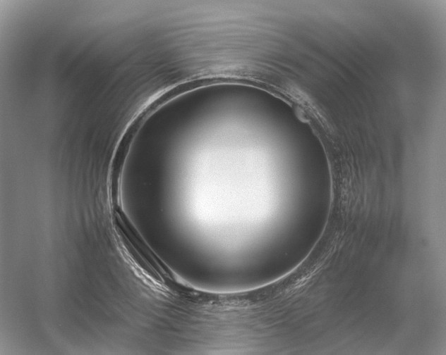 X0000054370884200508051552