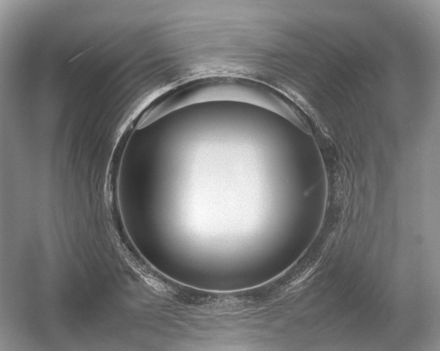 X0000054370885200508051552