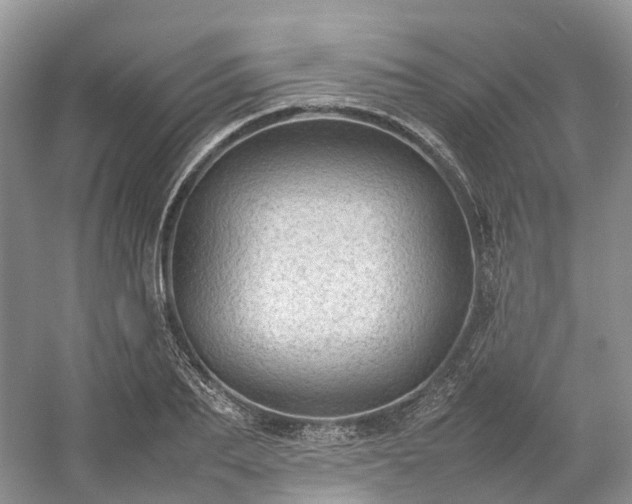 X0000054370887200508051552