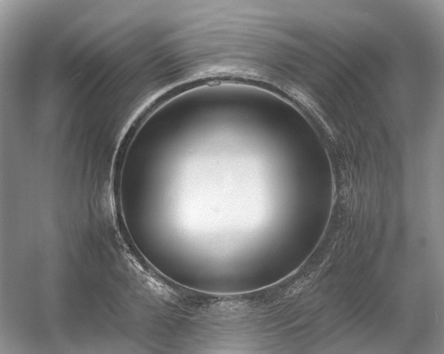 X0000054370888200508051552