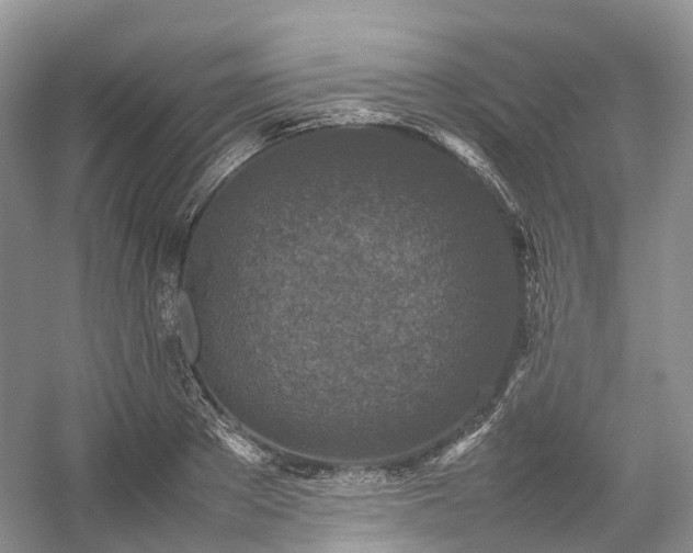 X0000054370889200508051552