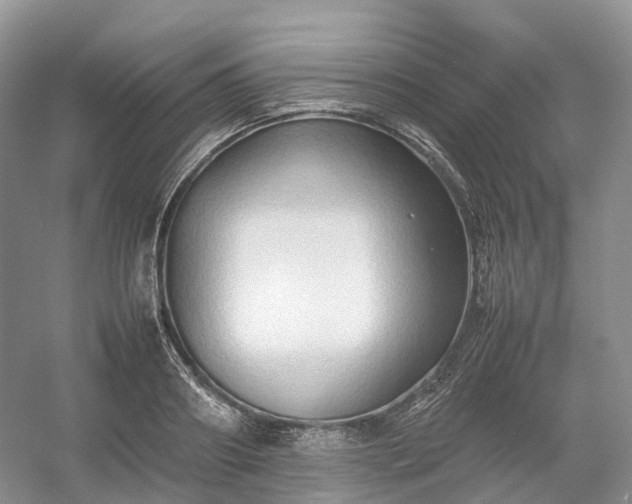 X0000054370890200508051552