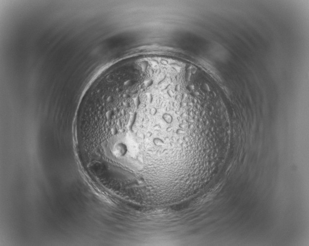 X0000054370891200508051552