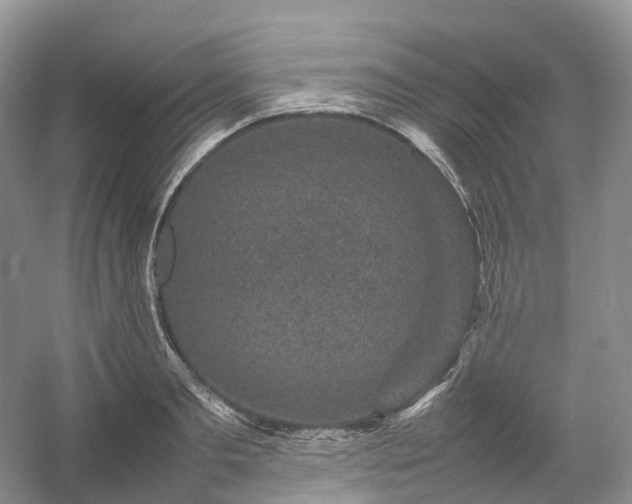 X0000054370893200508051552